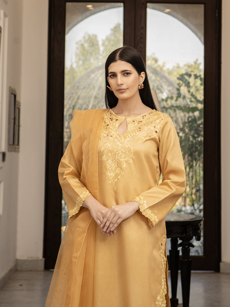 Gold Raw Silk Embroidered 3pc Suit