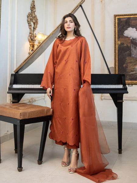 Rust Embroidered Raw Silk 3pc Suit