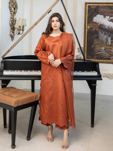 Rust Embroidered Raw Silk 3pc Suit