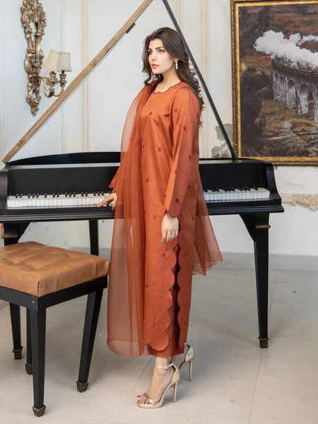 Rust Embroidered Raw Silk 3pc Suit