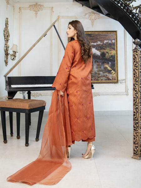 Rust Embroidered Raw Silk 3pc Suit