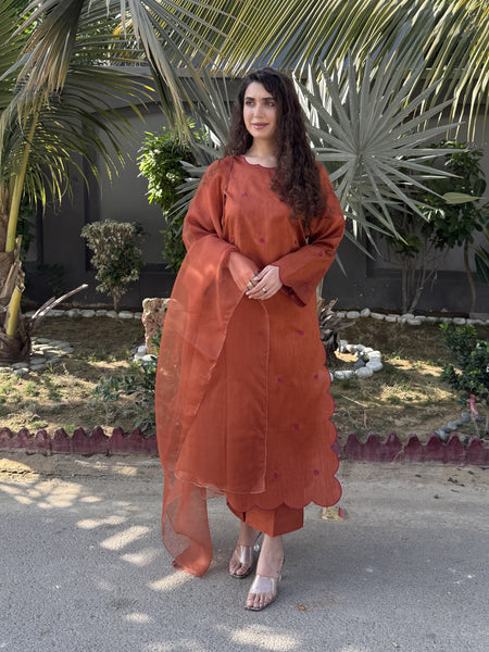 Rust Embroidered Raw Silk 3pc Suit