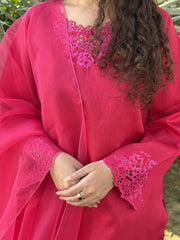 Pink Embroidered Raw Silk 3pc Suit