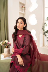 Farshi Silk Set- Dark Maroon